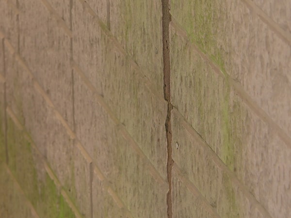 カビやコケ・錆の発生